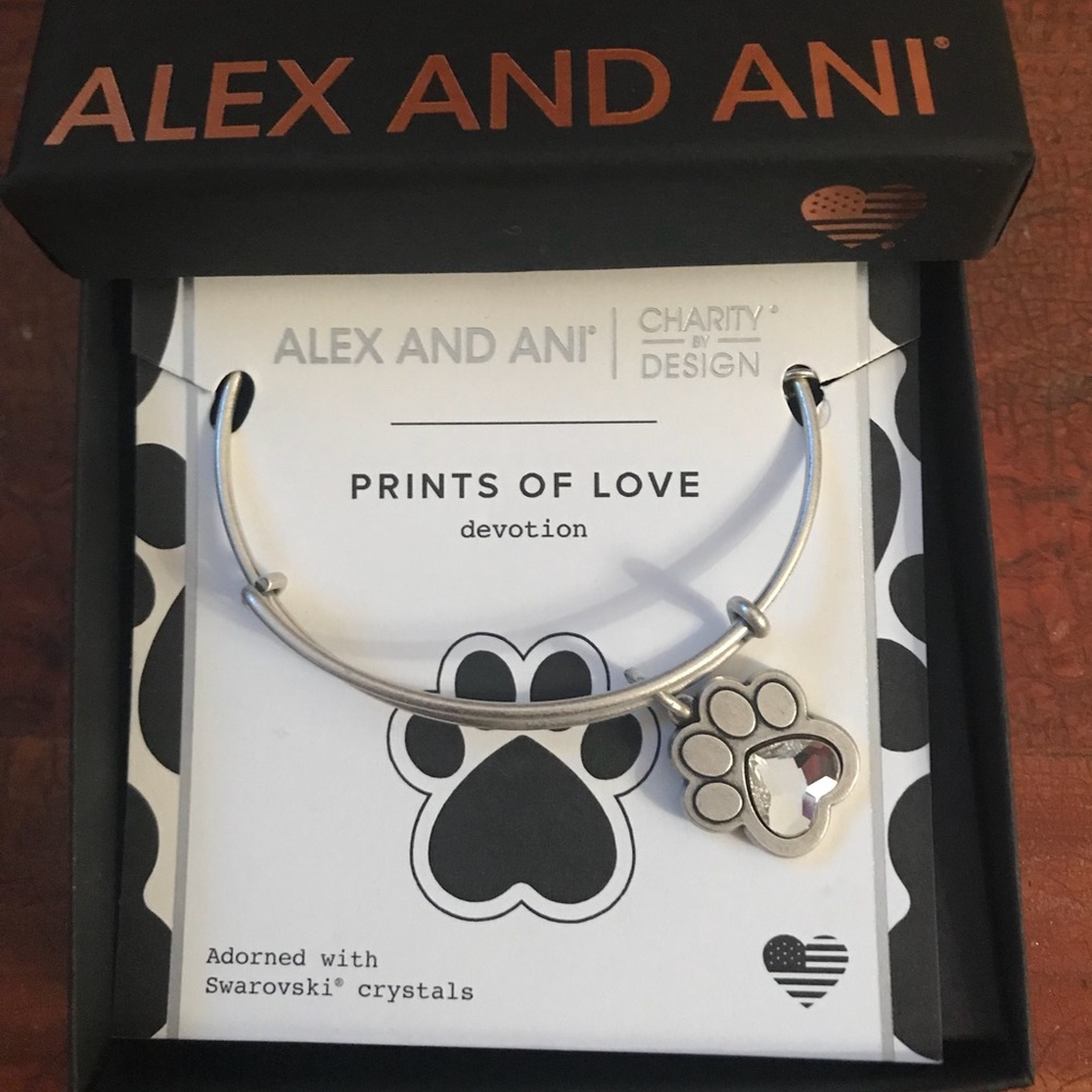 Alex and Ani Bangle